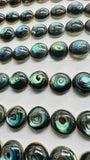 Abalone Shell Round Cabs- 8 mm Size- Pack of 4 Pcs- AAAA Quality- Natural Abalone Cabochons