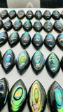 Abalone Shell Marquis Cabs- 8x16 mm Size- Pack of 4 Pcs- AAAA Quality-  Natural Abalone Cabochons