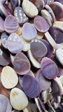 Wampum Quahog Shell TearDrop Beads • 10x14 mm Size • 40 cm length • AAA Quality • Natural Wampum Shell • Purple Color