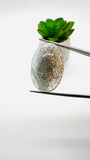 Moss Aquamarine Cabochon 30x19 mm - Code #M1 - Weight 35 Cts - Natural Moss Aquamarine Cabs - AAA Quality - Flat Back Cabs