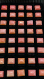 Queen Conch Shell Rectangle Cabs • 8X10 mm Size • Pack of 2 Pc • AAAA Quality • Flat Back • Queen Conch Cabochons