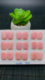 Queen Conch Shell Rectangle Cabs • 13x18 mm Size • Pack of 2 Pcs • AAA Quality • Flat Back • Queen Conch Cabochons