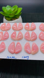Queen Conch Shell Fancy Cabs • 20x10 mm Size • Pack of 2 Pcs • AAA Quality • Flat Back • Queen Conch Cabochons