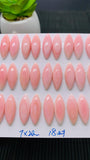 Queen Conch Shell Marquise Cabs • 20x7 mm Size • Pack of 2 Pcs • AAA Quality • Flat Back • Queen Conch Cabochons