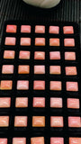 Queen Conch Shell Rectangle Cabs • 8X10 mm Size • Pack of 2 Pc • AAAA Quality • Flat Back • Queen Conch Cabochons