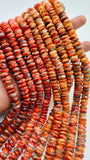 10 mm Spiny Shell Oyster with Turquoise Rondelle Beads • 40 cm length • AAA Quality • Spiny oyster Roundel Beads
