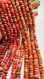 10 mm Spiny Shell Oyster with Turquoise Rondelle Beads • 40 cm length • AAA Quality • Spiny oyster Roundel Beads