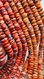 10 mm Spiny Shell Oyster with Turquoise Rondelle Beads • 40 cm length • AAA Quality • Spiny oyster Roundel Beads