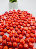 Spiny Oyster Shell Round Cabs • 6 mm Size • Pack of 4 Pcs • AAA Quality • Natural Shell Cabochon • Red Color