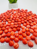 Spiny Oyster Shell Round Cabs • 4 mm Size • Pack of 5 Pcs • AAA Quality • Natural Shell Cabochon • Red Color