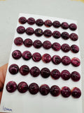 Spiny Oyster 10mm Shell Cabs • Pack of 4 Piece • AAA Quality • Natural Shell Cabochon •