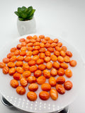 Spiny Oyster Shell Oval Cabs • 6x8 mm Size • Pack of 4 Pieces • AAA Quality • Natural Shell Cabochon • Orange Color