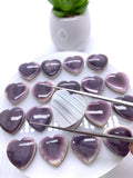 18 mm Wampum Quahog Shell Heart Cabs • Pack of 1 Piece • AAA Quality • Natural Wampum Shell Cabochon • Flat Back