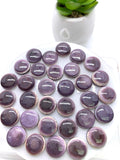 14 mm Wampum Quahog Shell Round Cabs • Pack of 1 Piece • AAA Quality • Natural Wampum Shell Cabochon • Flat Back