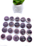 16 mm Wampum Quahog Shell Round Cabs • Pack of 1 Piece • AAA Quality • Natural Wampum Shell Cabochon • Flat Back