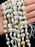 Shiva Shell Heart shape Beads - 12mm Size • AAA Quality• Length 40 cm • Shiva Shell heart Beads • Shiva Shell Beads