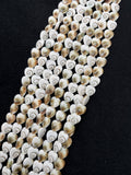 Shiva Shell Heart shape Beads - 12mm Size • AAA Quality• Length 40 cm • Shiva Shell heart Beads • Shiva Shell Beads