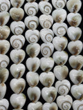 Shiva Shell Heart shape Beads - 10mm Size • AAA Quality• Length 40 cm • Shiva Shell heart Beads • Shiva Shell Beads