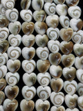 Shiva Shell Heart shape Beads - 8mm Size • AAA Quality• Length 40 cm • Shiva Shell heart Beads • Shiva Shell Beads