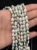 Shiva Shell Pear shape Beads - 8X10mm Size • AAA Quality• Length 40 cm • Shiva Shell pear Beads • Shiva Shell Beads