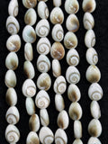 Shiva Shell Pear shape Beads - 8X10mm Size • AAA Quality• Length 40 cm • Shiva Shell pear Beads • Shiva Shell Beads