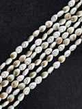 Shiva Shell Pear shape Beads - 8X10mm Size • AAA Quality• Length 40 cm • Shiva Shell pear Beads • Shiva Shell Beads