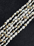 Shiva Shell Pear shape Beads - 8X10mm Size • AAA Quality• Length 40 cm • Shiva Shell pear Beads • Shiva Shell Beads