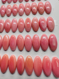 20x7 mm Queen Conch Shell Oval Cabs • Pack of 4 Pcs • Flat Back • AAA Quality • Queen Conch Cabochons