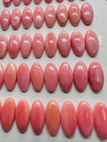 8x16 mm Queen Conch Shell Oval Cabs • Pack of 4 Pcs • Flat Back • AAA Quality • Queen Conch Cabochons