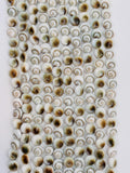 Shiva Shell Round Coin Beads - 6 / 8 mm Size • AAA Quality• Length 40 cm • Natural Single Shiva Shell Beads • One Sided Shiva Shell Beads