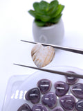 12 mm Wampum Quahog Shell Heart Cabs • Pack of 1 Piece • AAA Quality • Natural Wampum Shell Cabochon • Flat Back