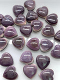 10 mm Wampum Quahog Shell Heart Cabs • Pack of 2 Pcs • AAA Quality • Natural Wampum Shell Cabochon • Flat Back