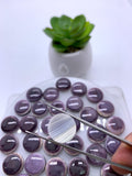 14 mm Wampum Quahog Shell Round Cabs • Pack of 1 Piece • AAA Quality • Natural Wampum Shell Cabochon • Flat Back