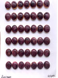 8x10 mm Purple Spiny Oyster Shell Oval Cabs • Pack of 4 Pieces • AAA Quality • Natural Spiny Oyster Shell Cabochon • Medium Purple Color