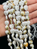 Shiva Shell Heart shape Beads - 12mm Size • AAA Quality• Length 40 cm • Shiva Shell heart Beads • Shiva Shell Beads