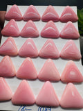 18x18mm Queen Conch Shell Triangle Cabs • Pack of 2 Pcs • AAA Quality • Flat Back • Queen Conch Cabochons