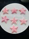 25x25mm Queen Conch Shell Carving Starfish Cabs • Pack of 1 Pc • AAA Quality • Flat Back • Queen Conch Carving Saline Starfish Cabochons