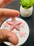 25x25mm Queen Conch Shell Carving Starfish Cabs • Pack of 1 Pc • AAA Quality • Flat Back • Queen Conch Carving Saline Starfish Cabochons