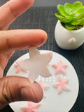 25x25mm Queen Conch Shell Carving Starfish Cabs • Pack of 1 Pc • AAA Quality • Flat Back • Queen Conch Carving Saline Starfish Cabochons