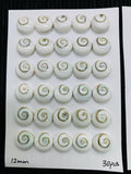 Shiva Shell Round Cabs • 12/14 mm Size • Pack of 2 pcs • AAA Quality • Shiva Shell Cabochons