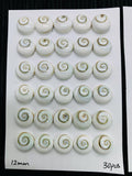 Shiva Shell Round Cabs • 12/14 mm Size • Pack of 2 pcs • AAA Quality • Shiva Shell Cabochons
