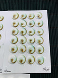 Shiva Shell Round Flat Cabs • 12/14/15 mm Size • AAA Quality • Shiva Shell Cabochons