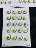 Shiva Shell Round Flat Cabs • 12/14/15 mm Size • AAA Quality • Shiva Shell Cabochons