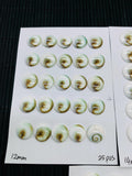 Shiva Shell Round Flat Cabs • 12/14/15 mm Size • AAA Quality • Shiva Shell Cabochons