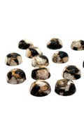 Abalone copper and black onyx 8MM Shell Cabs, Pack of 6 pieces, compressed material.