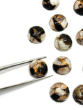 Abalone copper and black onyx 8MM Shell Cabs, Pack of 6 pieces, compressed material.
