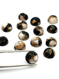 Abalone copper and black onyx 8MM Shell Cabs, Pack of 6 pieces, compressed material.