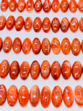 6x12 mm Spiny Oyster Shell Oval Cabs • Pack of 5 Pieces • AAA Quality • Natural Shell Cabochon • Red Color