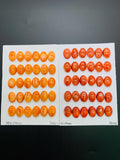 10x14 mm Spiny Oyster Shell Oval Cabs • Pack of 2 Pieces • AAA Quality • Natural Shell Cabochon • Orange/ Red Color
