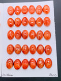 10x14 mm Spiny Oyster Shell Oval Cabs • Pack of 2 Pieces • AAA Quality • Natural Shell Cabochon • Orange/ Red Color